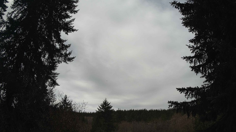 Pacific Northwest skyline timelapse frame from Apr 3rd, 2026 at 11:15 AM
