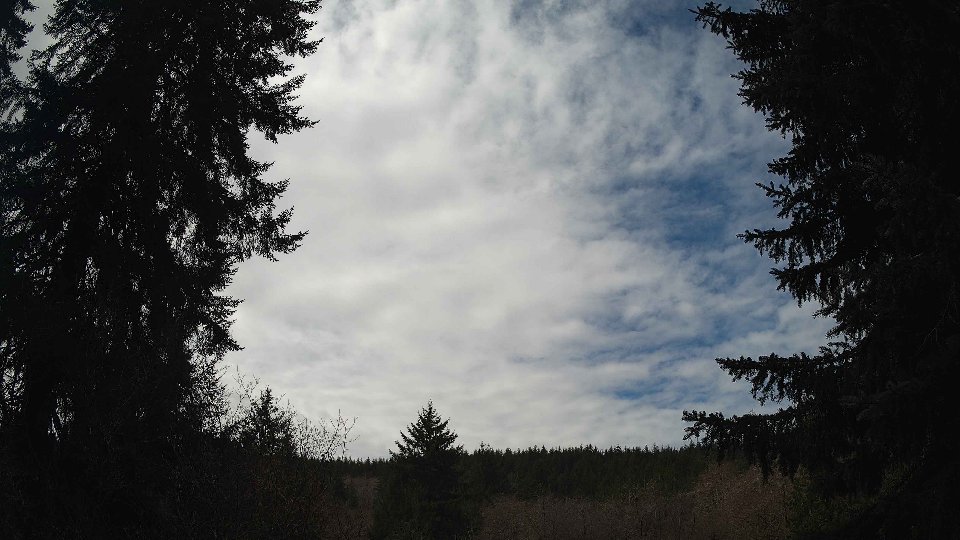 Pacific Northwest skyline timelapse frame from Apr 3rd, 2026 at 11:30 AM