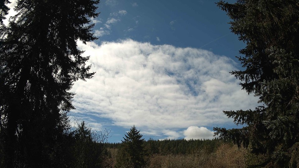 Pacific Northwest skyline timelapse frame from Apr 3rd, 2026 at 12:15 PM