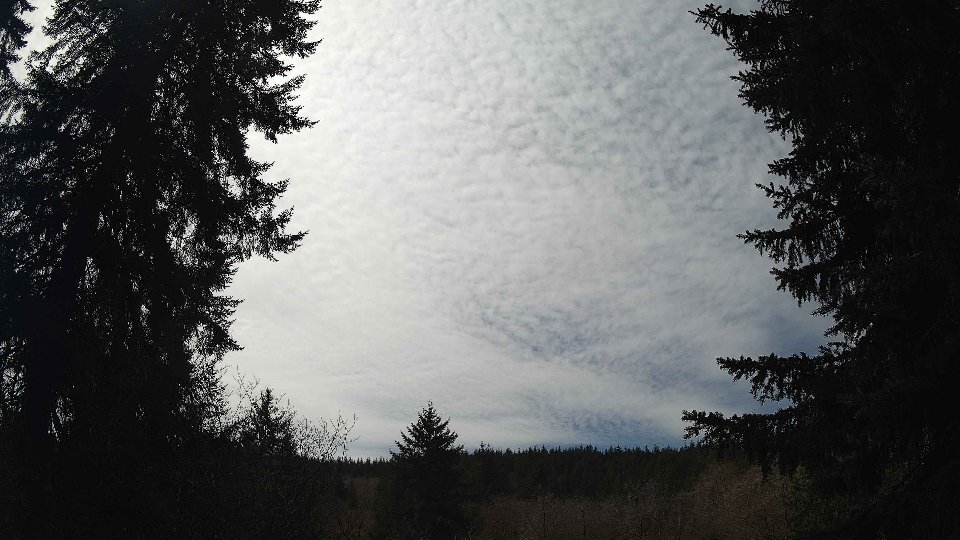 Pacific Northwest skyline timelapse frame from Apr 3rd, 2026 at 1:00 PM