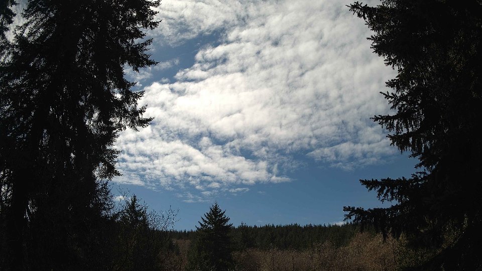 Pacific Northwest skyline timelapse frame from Apr 3rd, 2026 at 1:30 PM