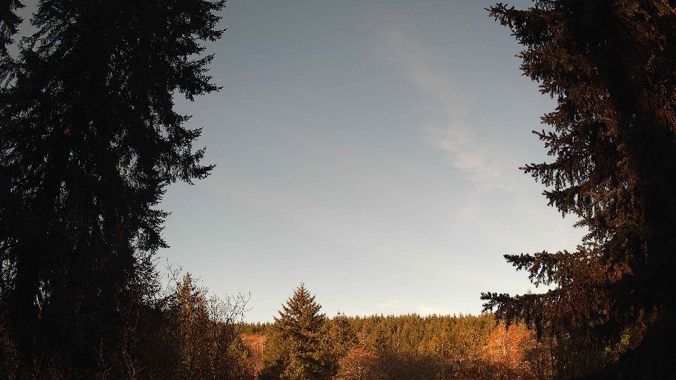 Pacific Northwest skyline timelapse on Apr 4th, 2026 at 8:00 AM