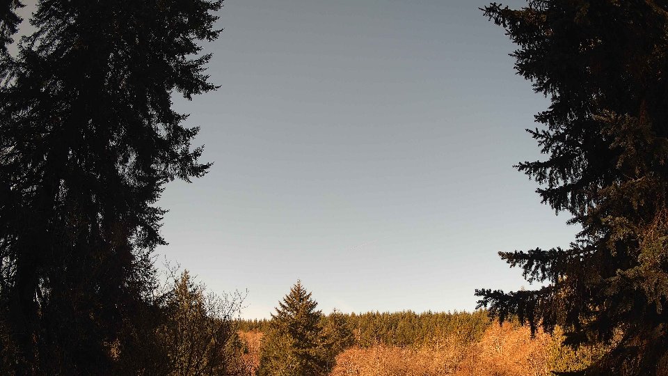 Pacific Northwest skyline timelapse on Apr 4th, 2026 at 9:30 AM