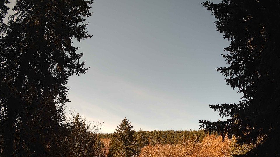 Pacific Northwest skyline timelapse on Apr 4th, 2026 at 10:30 AM