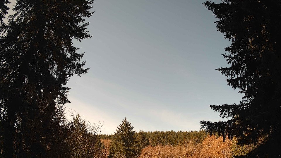 Pacific Northwest skyline timelapse on Apr 4th, 2026 at 10:45 AM