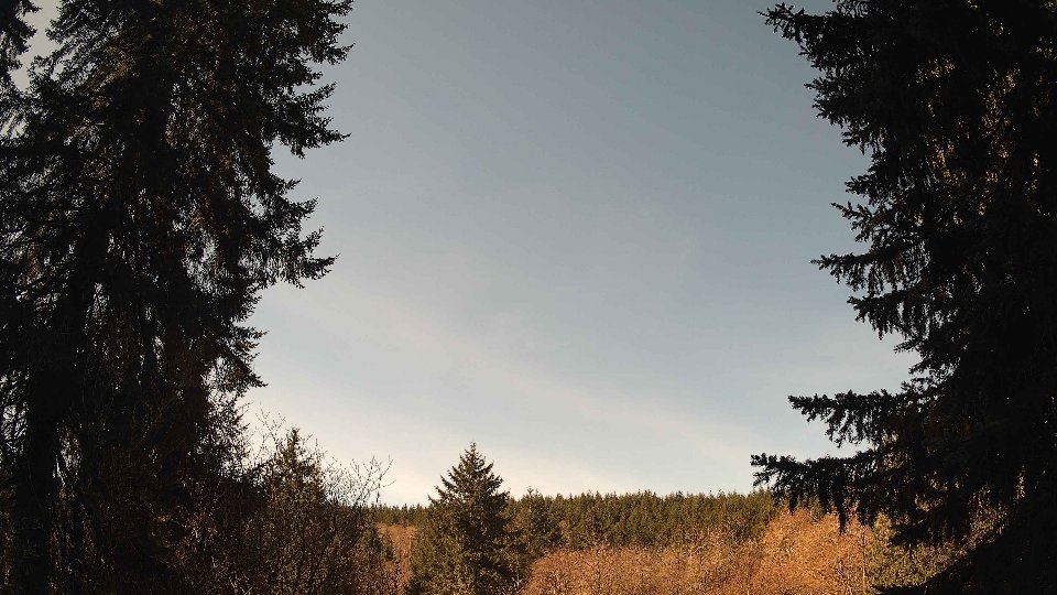 Pacific Northwest skyline timelapse on Apr 4th, 2026 at 11:00 AM