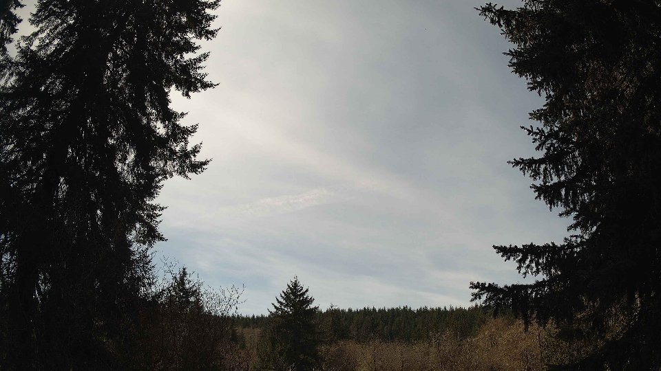 Pacific Northwest skyline timelapse on Apr 4th, 2026 at 1:30 PM