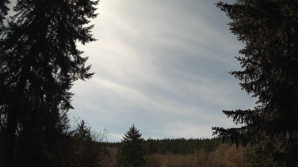 Pacific Northwest skyline timelapse on Apr 4th, 2026 at 1:45 PM