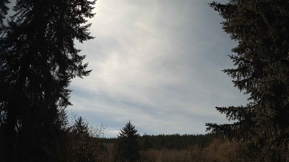 Pacific Northwest skyline timelapse on Apr 4th, 2026 at 2:00 PM