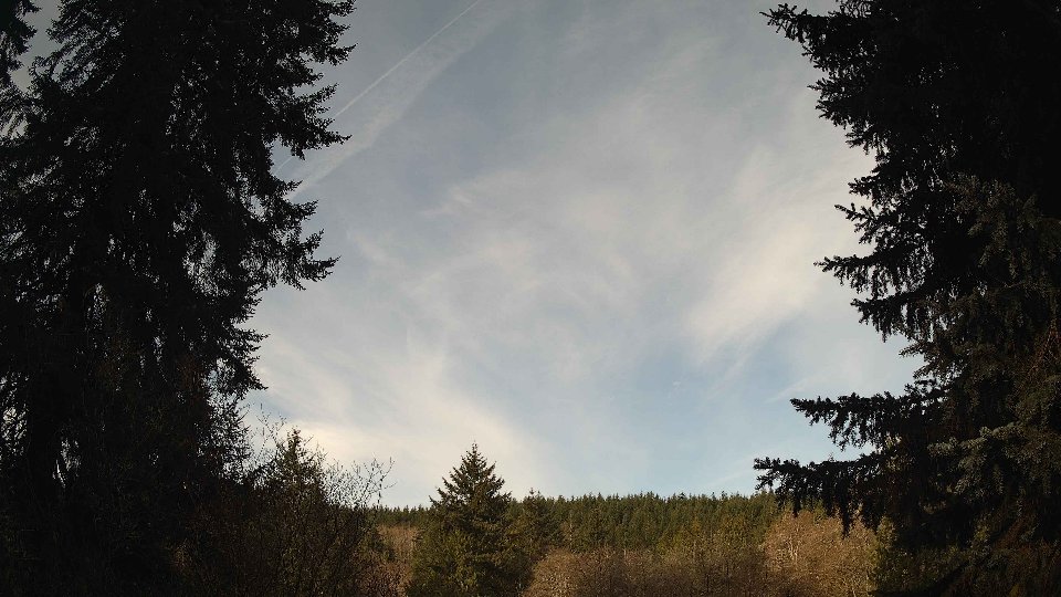 Pacific Northwest skyline timelapse frame from Apr 5th, 2026 at 8:30 AM