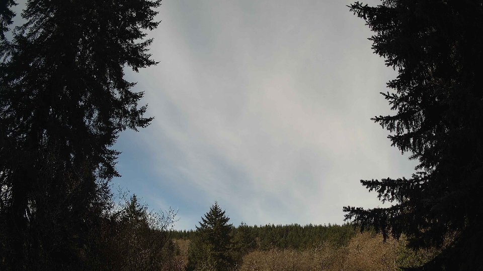 Pacific Northwest skyline timelapse frame from Apr 5th, 2026 at 10:45 AM