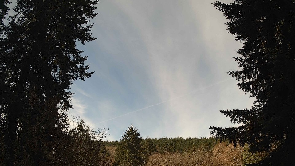 Pacific Northwest skyline timelapse frame from Apr 5th, 2026 at 11:00 AM