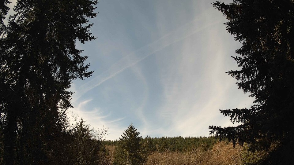 Pacific Northwest skyline timelapse frame from Apr 5th, 2026 at 11:15 AM