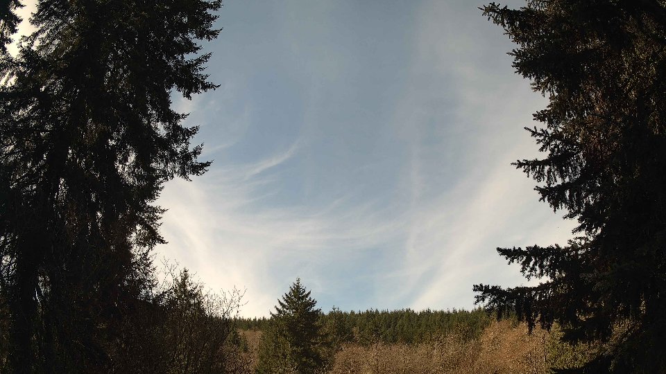 Pacific Northwest skyline timelapse frame from Apr 5th, 2026 at 11:30 AM