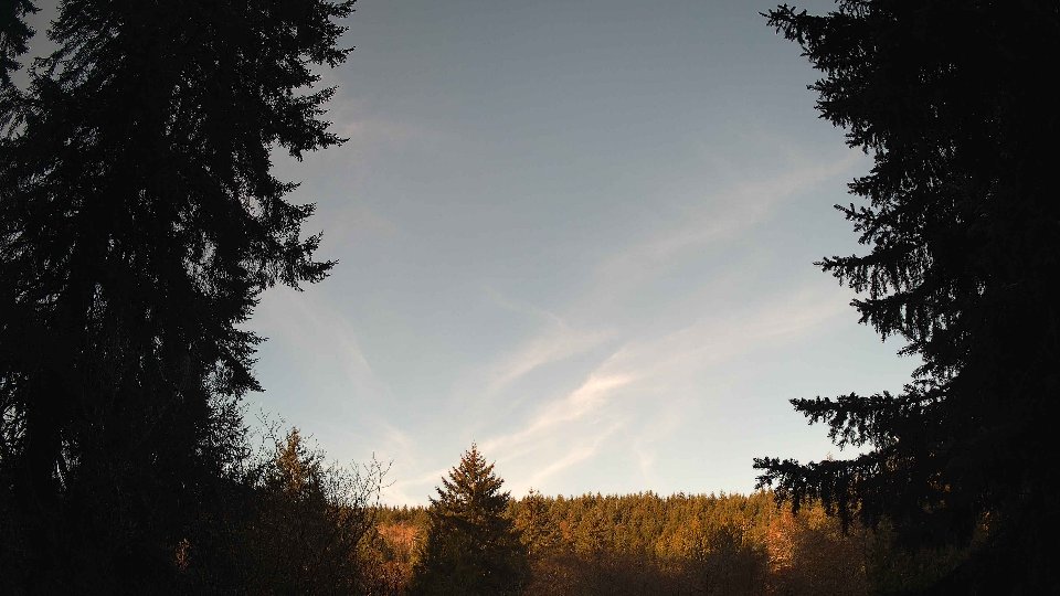 Pacific Northwest skyline timelapse frame from Apr 6th, 2026 at 7:30 AM