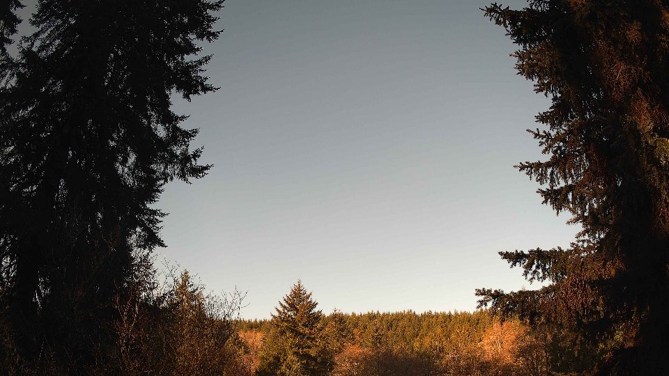 Pacific Northwest skyline timelapse frame from Apr 6th, 2026 at 8:00 AM