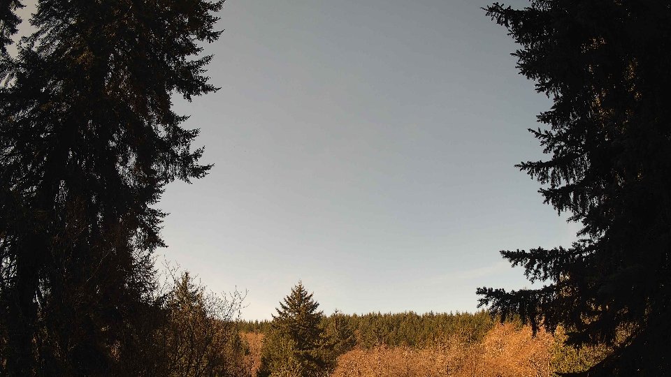 Pacific Northwest skyline timelapse frame from Apr 6th, 2026 at 10:30 AM