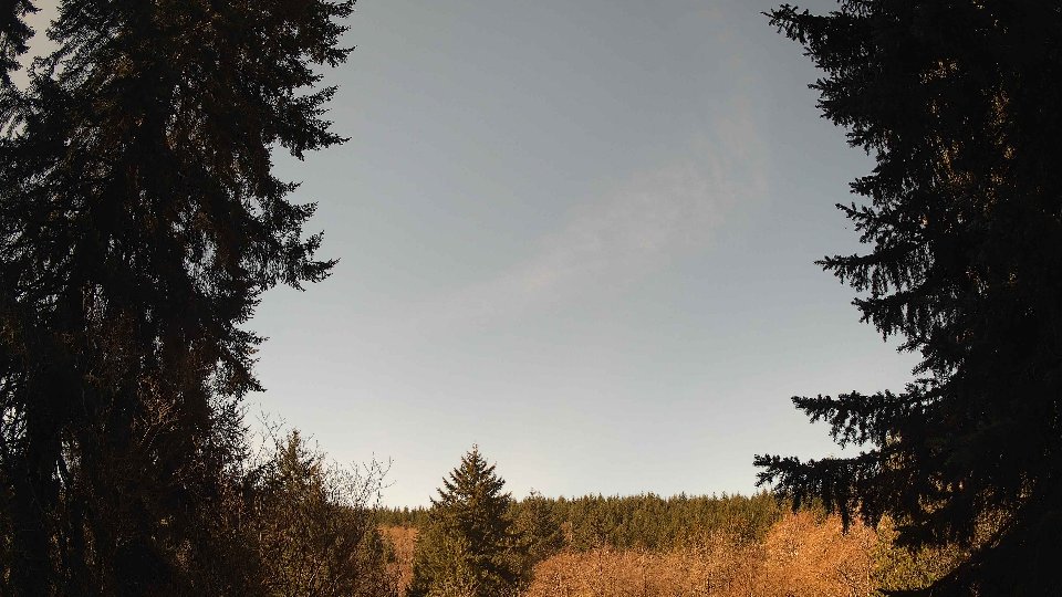 Pacific Northwest skyline timelapse frame from Apr 6th, 2026 at 10:45 AM