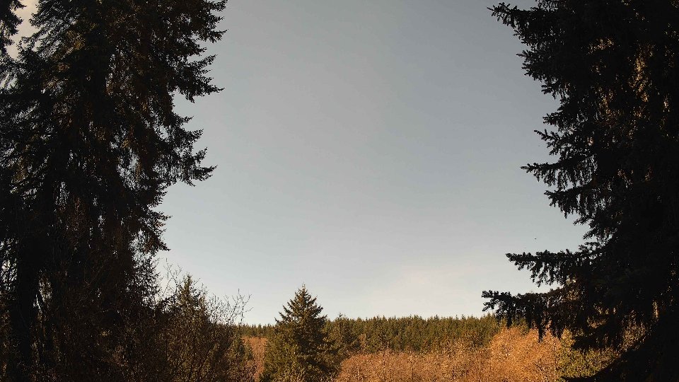 Pacific Northwest skyline timelapse frame from Apr 6th, 2026 at 11:00 AM