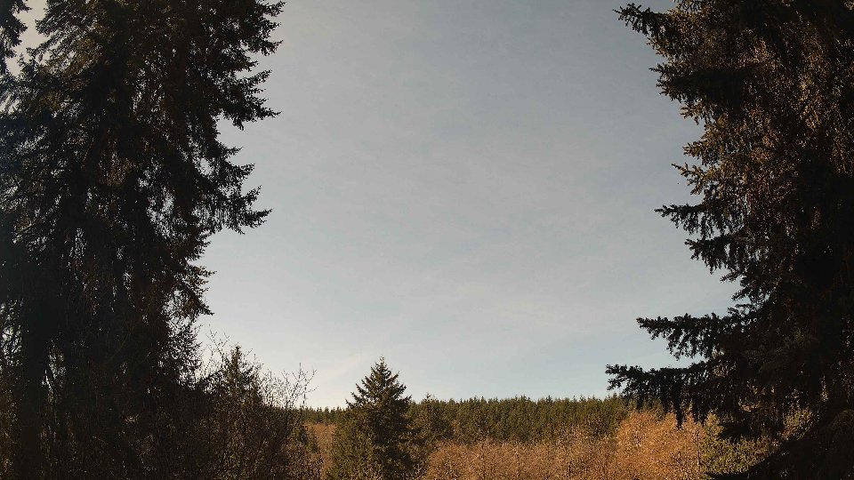 Pacific Northwest skyline timelapse frame from Apr 6th, 2026 at 11:30 AM
