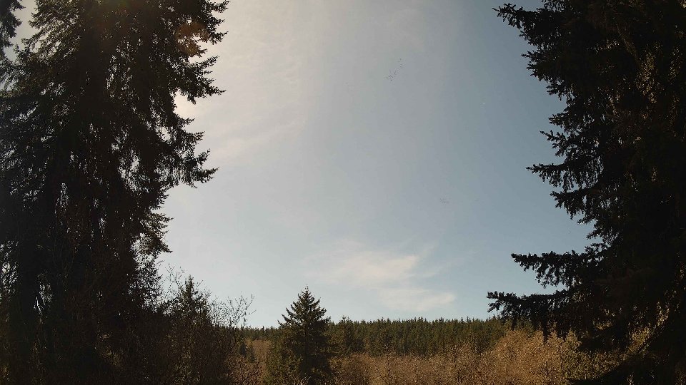 Pacific Northwest skyline timelapse frame from Apr 6th, 2026 at 1:00 PM