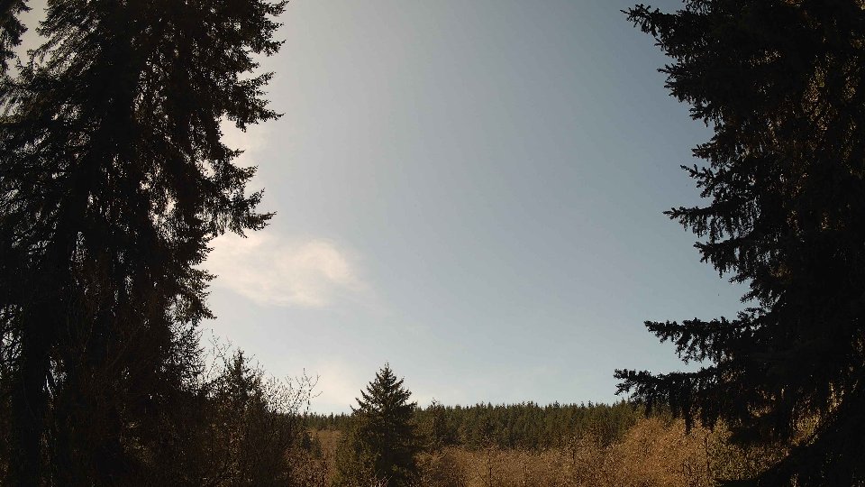 Pacific Northwest skyline timelapse frame from Apr 6th, 2026 at 1:15 PM