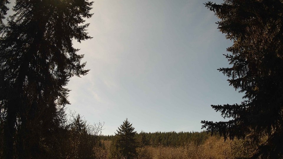 Pacific Northwest skyline timelapse frame from Apr 6th, 2026 at 1:30 PM
