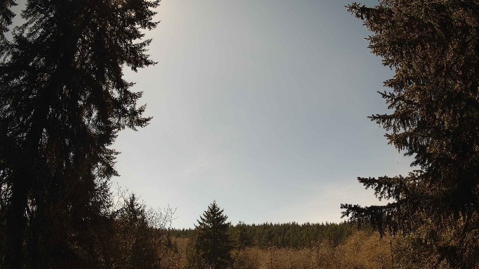 Pacific Northwest skyline timelapse frame from Apr 6th, 2026 at 1:45 PM