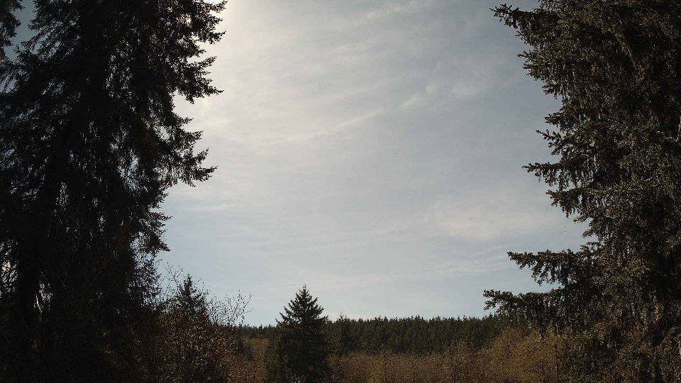 Pacific Northwest skyline timelapse frame from Apr 6th, 2026 at 2:00 PM