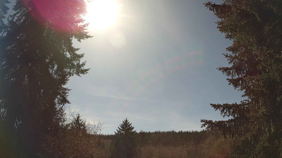 Pacific Northwest skyline timelapse frame from Apr 6th, 2026 at 2:30 PM
