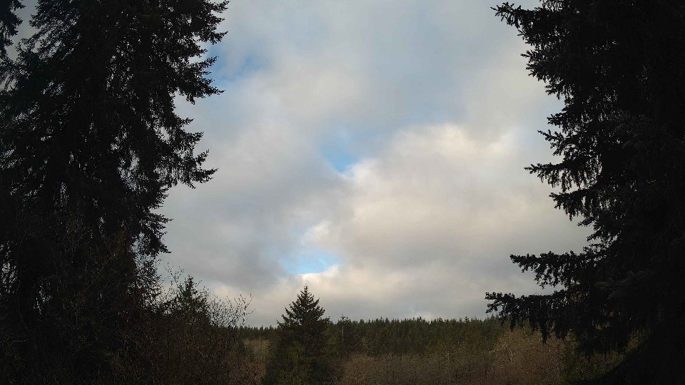 Pacific Northwest skyline timelapse frame from Apr 7th, 2026 at 7:45 AM