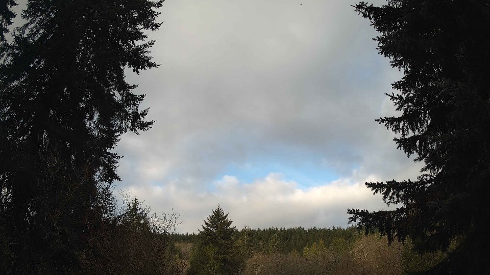 Pacific Northwest skyline timelapse frame from Apr 7th, 2026 at 8:00 AM
