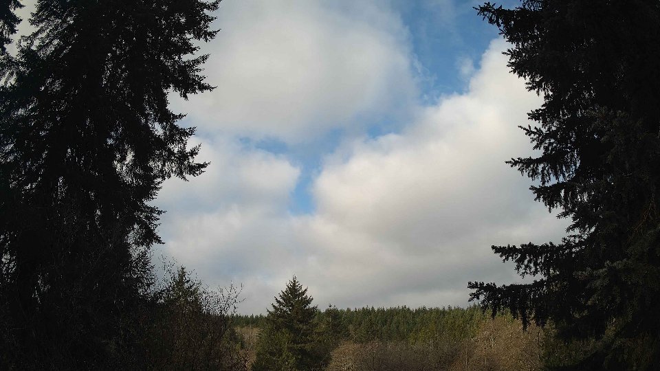 Pacific Northwest skyline timelapse frame from Apr 7th, 2026 at 8:15 AM