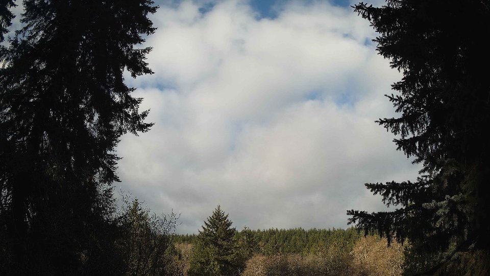 Pacific Northwest skyline timelapse frame from Apr 7th, 2026 at 8:30 AM