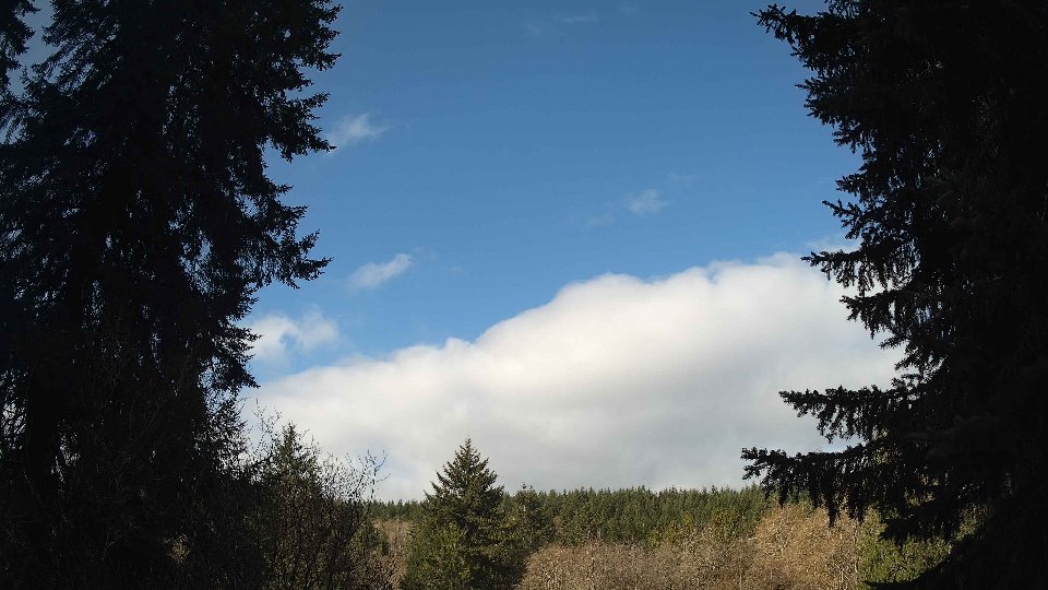 Pacific Northwest skyline timelapse frame from Apr 7th, 2026 at 9:00 AM