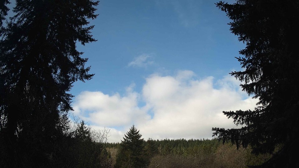 Pacific Northwest skyline timelapse frame from Apr 7th, 2026 at 9:15 AM