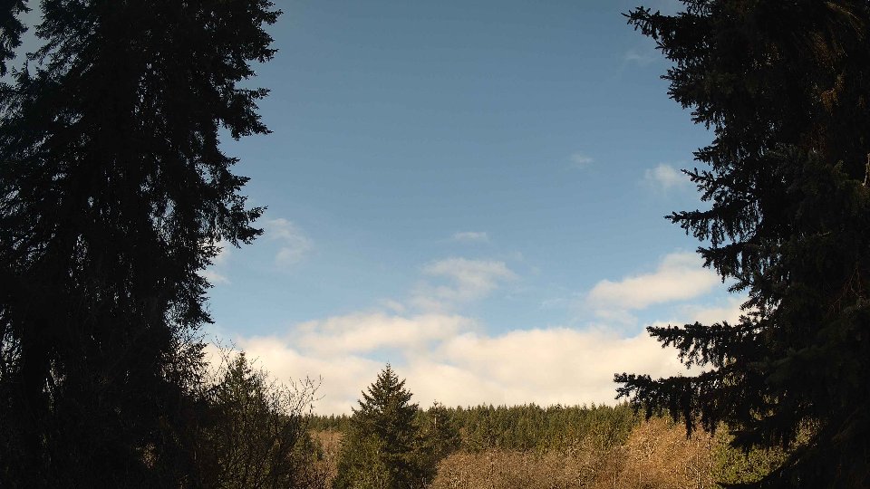 Pacific Northwest skyline timelapse frame from Apr 7th, 2026 at 9:30 AM