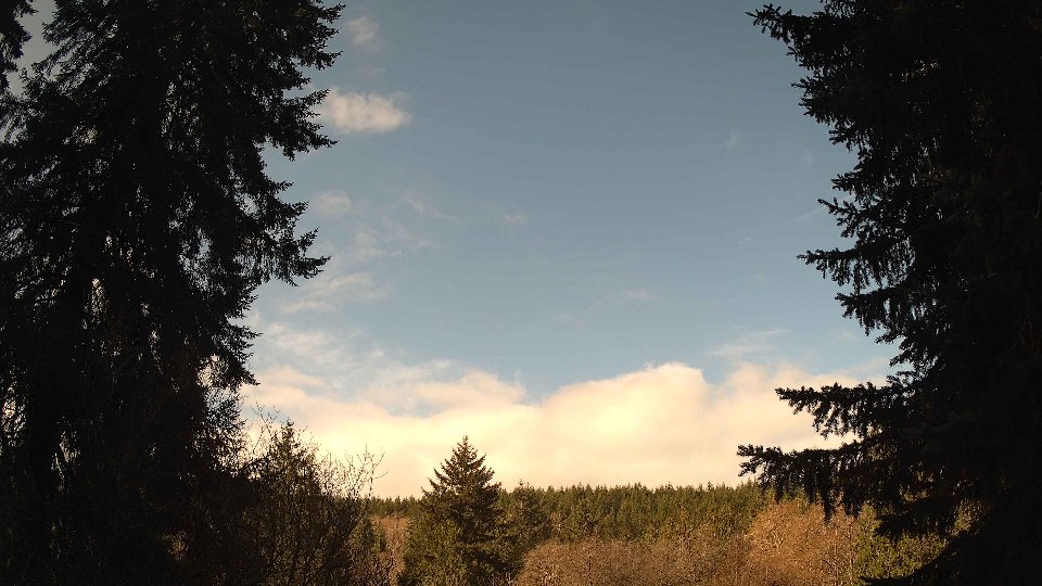 Pacific Northwest skyline timelapse frame from Apr 7th, 2026 at 9:45 AM