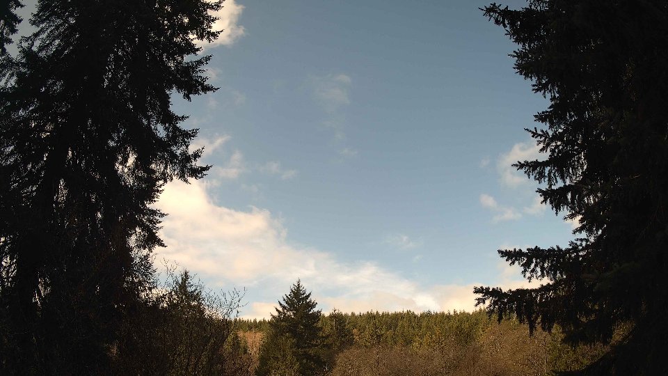 Pacific Northwest skyline timelapse frame from Apr 7th, 2026 at 10:00 AM