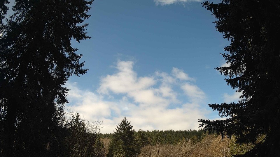 Pacific Northwest skyline timelapse frame from Apr 7th, 2026 at 10:15 AM