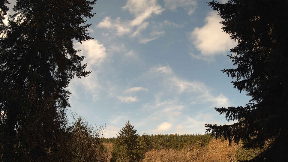 Pacific Northwest skyline timelapse frame from Apr 7th, 2026 at 10:30 AM