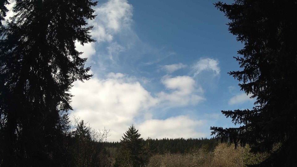 Pacific Northwest skyline timelapse frame from Apr 7th, 2026 at 10:45 AM