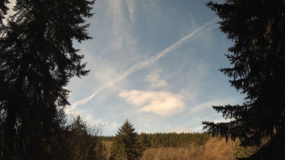 Pacific Northwest skyline timelapse frame from Apr 7th, 2026 at 11:00 AM