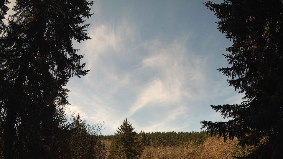 Pacific Northwest skyline timelapse frame from Apr 7th, 2026 at 11:15 AM