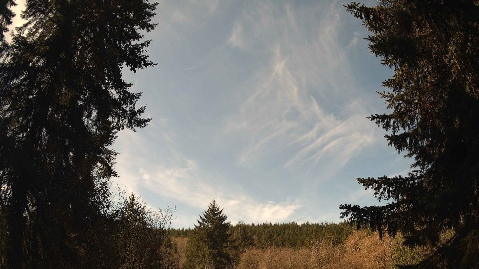 Pacific Northwest skyline timelapse frame from Apr 7th, 2026 at 11:30 AM