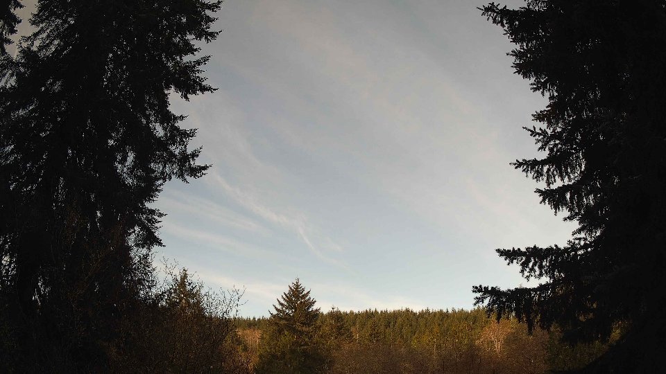 Pacific Northwest skyline timelapse on Apr 8th, 2026 at 7:45 AM