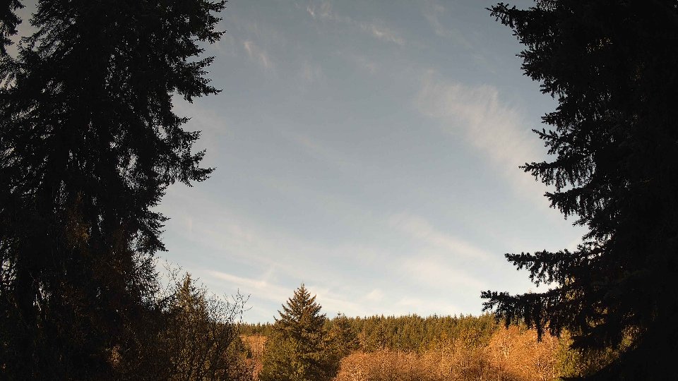 Pacific Northwest skyline timelapse on Apr 8th, 2026 at 8:45 AM