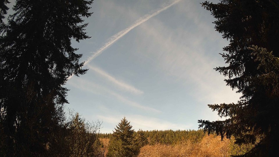 Pacific Northwest skyline timelapse on Apr 8th, 2026 at 9:15 AM