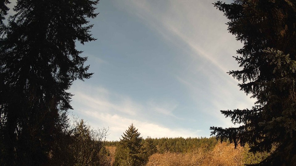 Pacific Northwest skyline timelapse on Apr 8th, 2026 at 9:30 AM