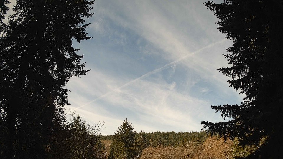 Pacific Northwest skyline timelapse on Apr 8th, 2026 at 10:00 AM